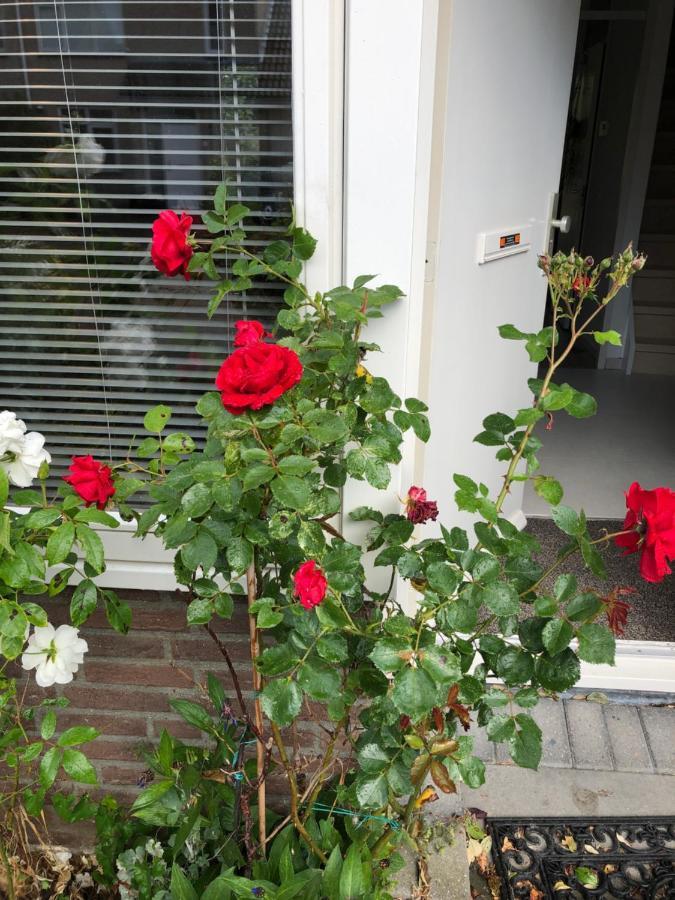 Vakantiewoning In Middelburg Zeeland מראה חיצוני תמונה